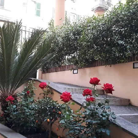 Pensión Rosa Roma