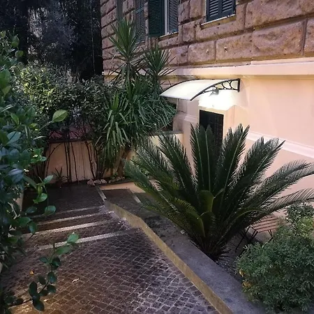 Rosa * Roma
