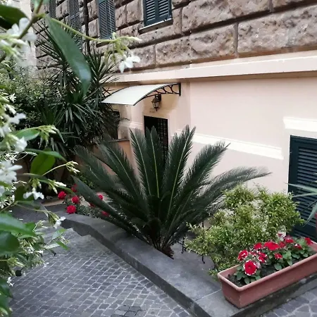 Rosa Guest house *