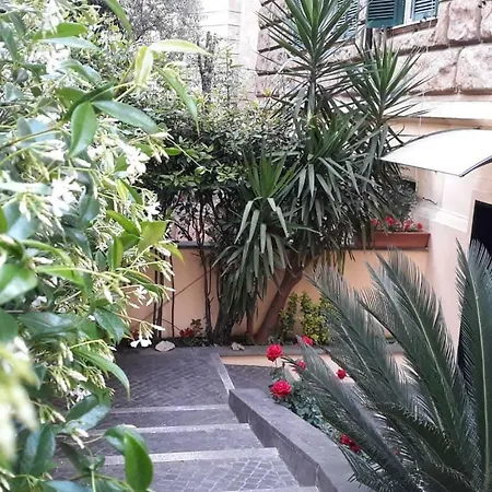 Rosa Guest house *