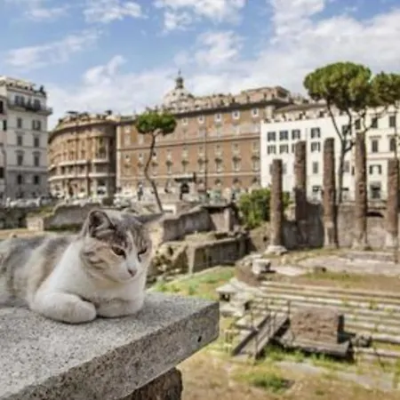 Rosa Rome